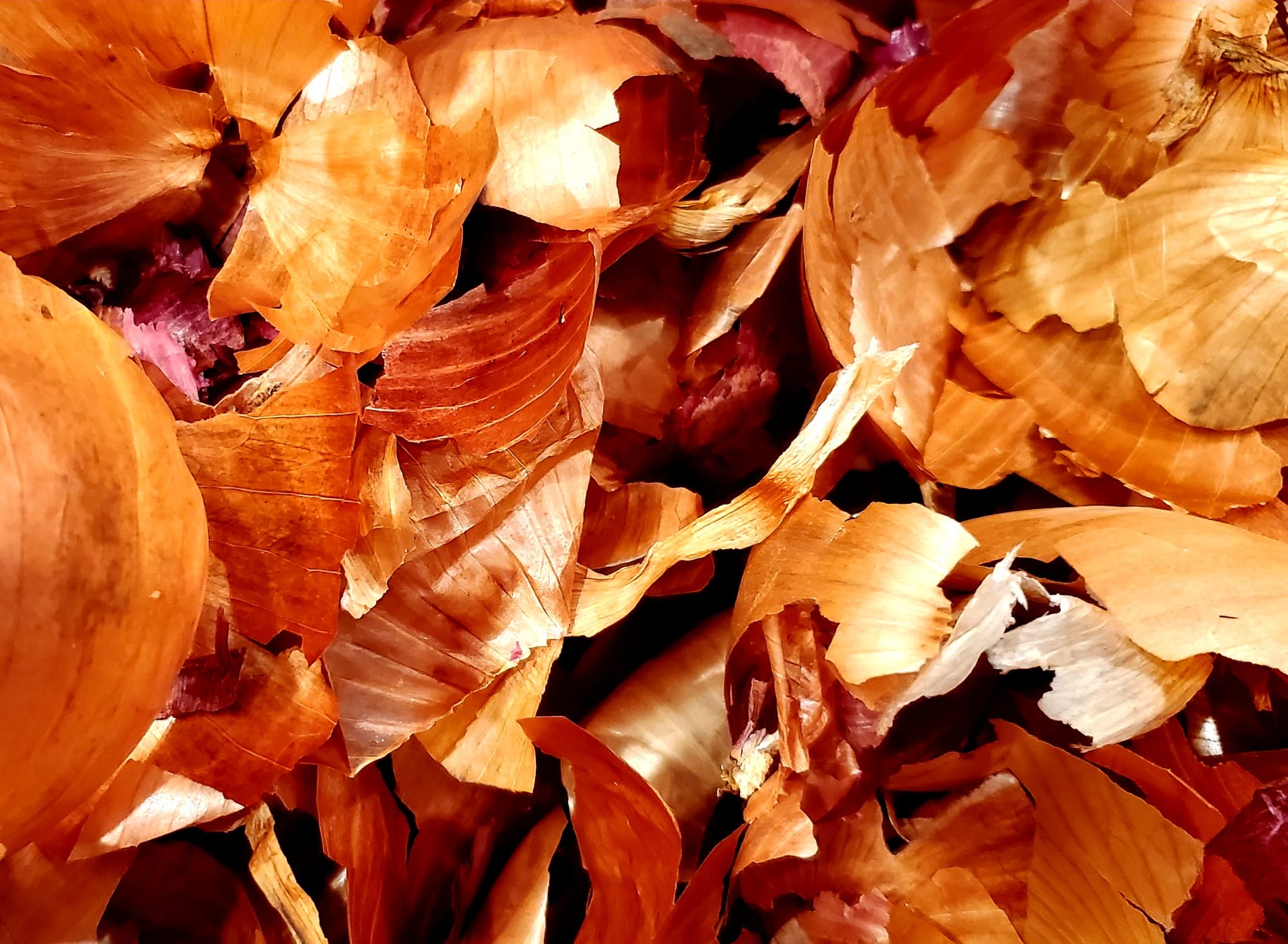 Onion Peels Organic
